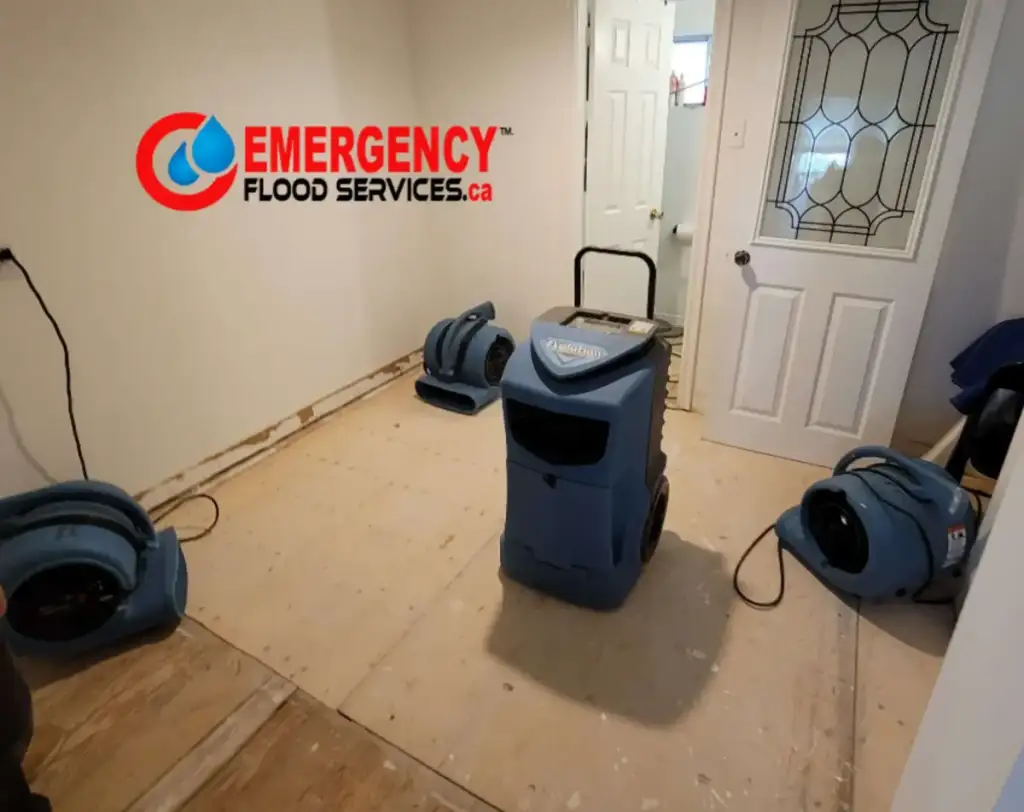 Flood Emergency - Toronto