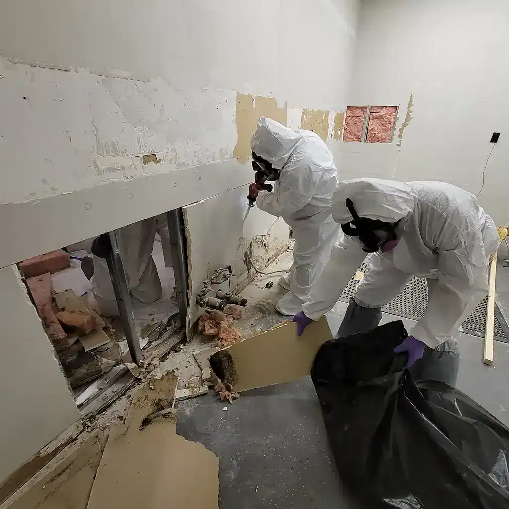 Mold removal by emergency flood services