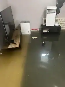 Why Untreated Water Damage Is a Serious Health Risk