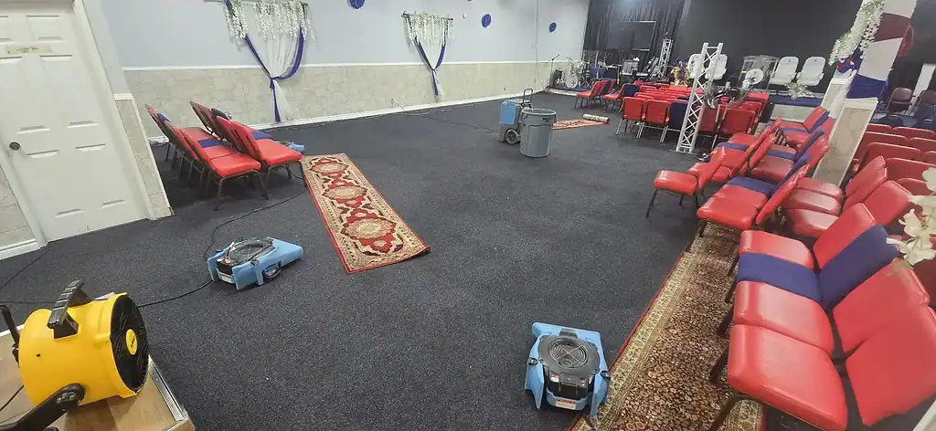 Carpet Drying and Cleaning