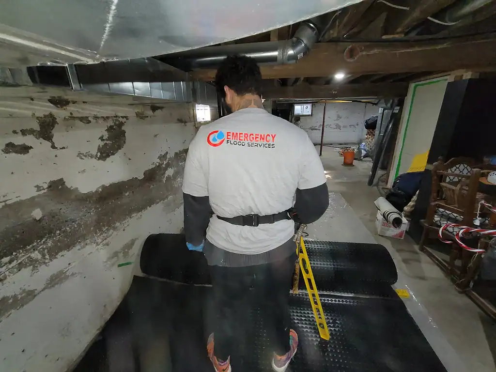 water removal company near me toronto