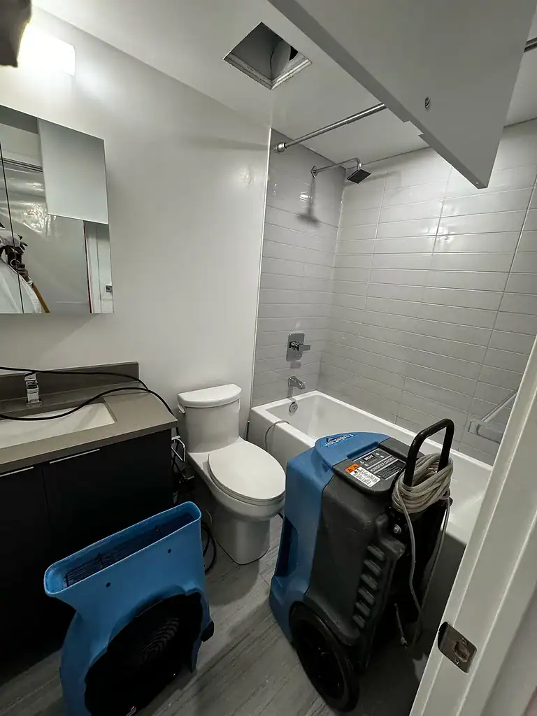 How Water Damage Cleanup and Emergency Flood Restoration Services Can Help me